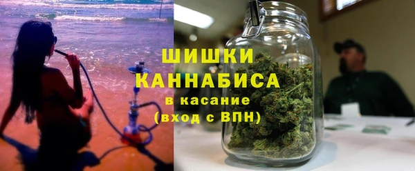 бошки Алексин
