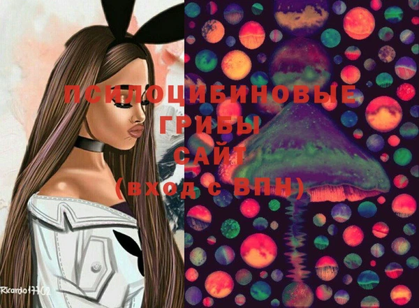 бошки Алексин