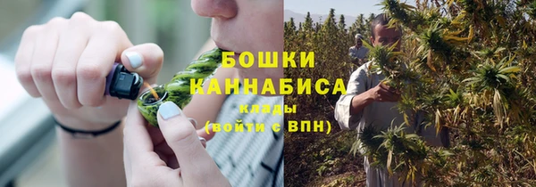 бошки Алексин