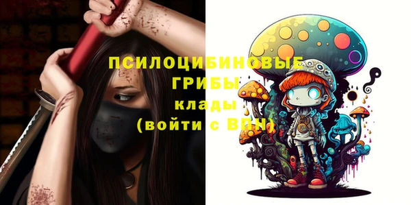 гашик Новодвинск
