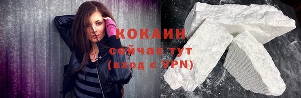 бошки Алексин