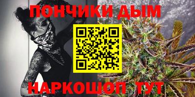 Альфа ПВП Обь