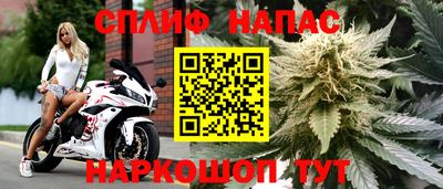 Альфа ПВП Обь