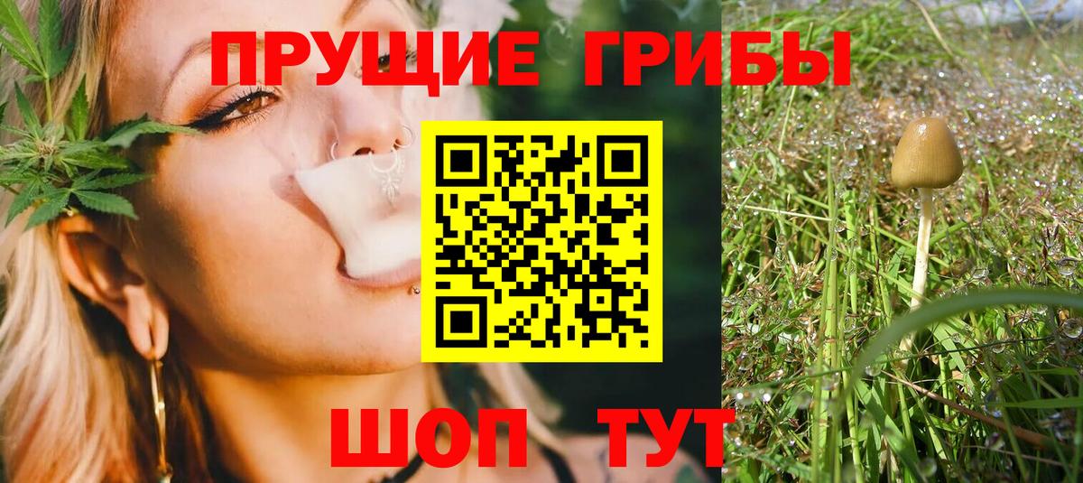 Псилоцибиновые грибы прущие грибы Дзержинск