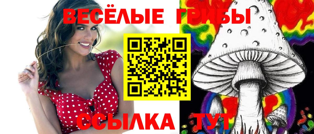 Галлюциногенные грибы Psilocybine cubensis  Вход с VPN  Дзержинск 